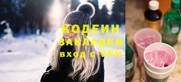дмт Ельня