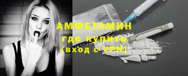 дмт Ельня