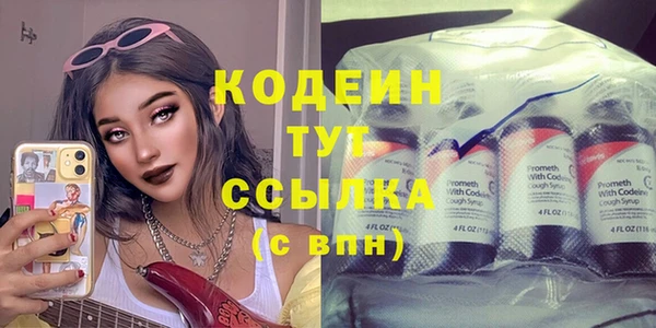 дмт Ельня