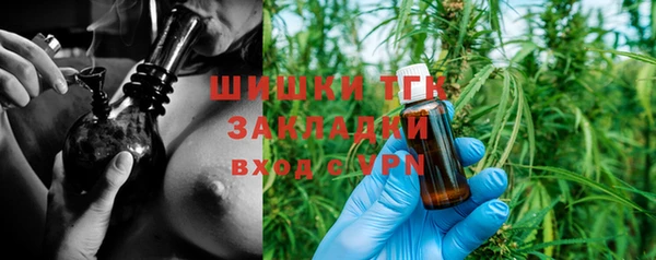 дмт Ельня