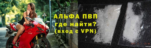 дмт Ельня