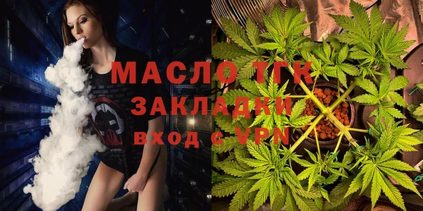 дмт Ельня