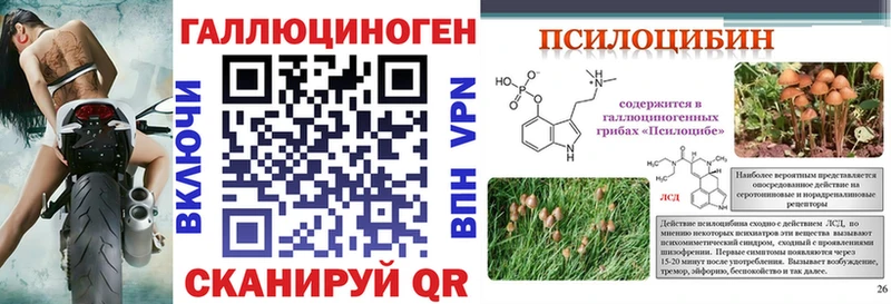 как найти закладки  Бугуруслан  Псилоцибиновые грибы ЛСД 